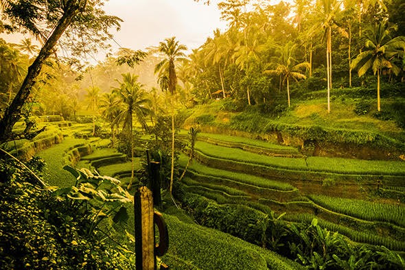 Bali, dove tutto è armonia