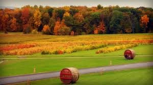 Autunno, la to-do list per affrontare con la giusta carica la stagione meno gettonata dagli italiani #Cultura