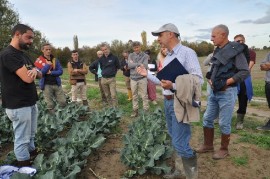 Borghi Maestri delle Arti e dei Saperi: “Rigenerare la terra per un cibo buono, pulito, giusto”