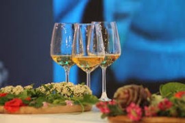 Arte, cantine e biodiversità: il Wine Tour delle Marche prende il largo con tre serate speciali