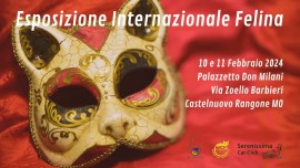 Esposizione Felina Internazionale Castelnuovo Rangone 10 e 11 febbraio 2024