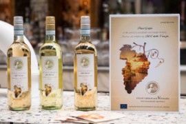 Pinot Grigio delle Venezie DOC: Analisi di mercato e strategie per il futuro