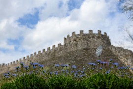 FIORInellaROCCA – Dal 12 al 14 aprile- Raffinata Mostra mercato di piante e fiori rari alla Rocca Visconteo Veneta di Lonato del Garda (BS)