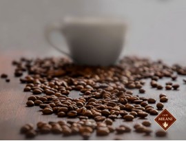 Il cammino dal chicco all’espresso e i metodi alternativi di estrazione nei nuovi webinar di Caffè Milani