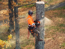 Husqvarna presenta le nuove motoseghe della Serie 500