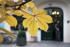 Scoprire la magia dell’autunno al Parkhotel Holzner 4*L di Soprabolzano, un rifugio nel cuore dell’Altopiano del Renon