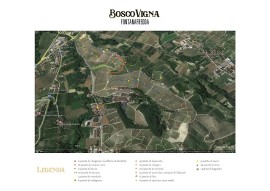 Bosco Vigna: un “manifesto” sul futuro della nostra Terra, dedicato ai Vigneron di Langa