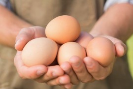 Uova fresche come una volta: il gusto genuino dell'Appennino Abruzzese arriva a Roma Nord!