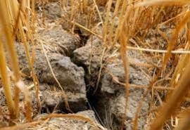 Slow Food: «Senza suolo non c’è sovranità agroalimentare. Senza terra non c’è vita»