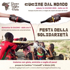 Festa della Solidarietà a Udine