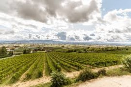 UMBRIA TOP a ProWein 2025