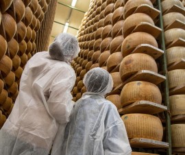 Alla scoperta dei segreti del Parmigiano Reggiano