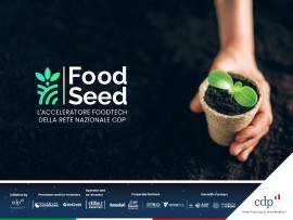 Foodseed 2024: al via la nuova ricerca di startup Foodtech italiane per promuovere soluzioni innovative alle sfide dell'industria agroalimentare