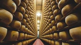 Il Consorzio del Parmigiano Reggiano protagonista a MARCA by Bologna Fiere. Annunciati i dati positivi del SELL-OUT ITALIA 2024
