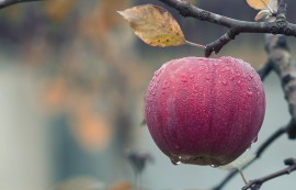 Agricoltura: Expedia MRCC tra i relatori della Biosolution Academy dell’Università Cattolica del Sacro Cuore