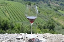 VINO: Consorzio Valpolicella per la prima volta a Wine Paris con 36 aziende e 240 etichette. Al via il programma promozione “QUALITY HERITAGE OF EUROPE”
