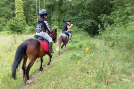 Un camp estivo tra equitazione e Giostra del Saracino con la Scuderia Pan