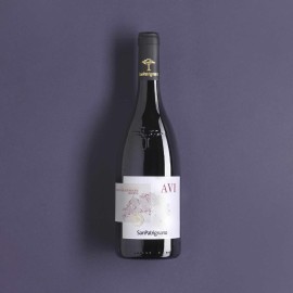 Vino Rosso Avi, un nuovo premio per il Sangiovese di San Patrignano
