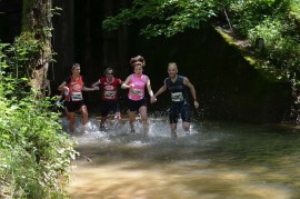 Un mese alla 12^ Reale Mutua Monza Montevecchia Eco Trail: “Correre in due è un gioco di sguardi”