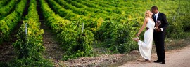 Matrimonio al Wine Resort, per brindare alla felicità