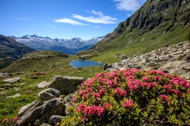 Gli itinerari estivi tra Valtellina e Valchiavenna