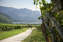 Enoturismo in Alto Adige: cosa fare d’estate tra cantine, natura e sport