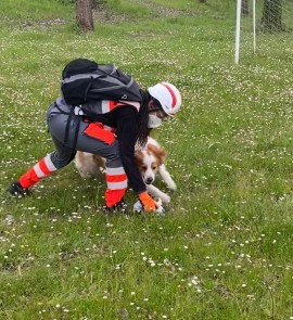 Cani da soccorso a Villanova (PE)