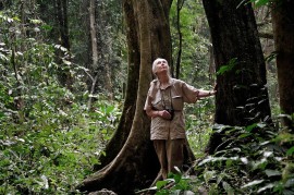 Cambiare si può. Le scuole incontrano Jane Goodall