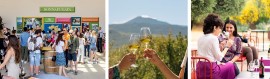 Cantine Aperte 2025, un’insolita domenica a Donnafugata