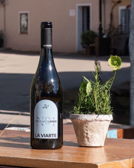 La VIARTE WINES tra le star al Porto Cervo Wine Festival 