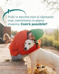 Siamo in inverno ma... pulci e zecche non vanno in letargo!
