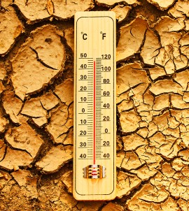 Vino e clima: come l'aumento delle temperature sta cambiando il gusto degli italiani secondo Vino.com