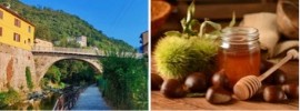 Ponte Lambro entra nel circuito de Le Città del Miele