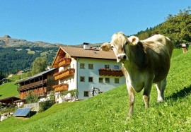 Offerte di Lavoro in Fattoria con Vitto e Alloggio