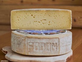Un formaggio che racconta la montagna. Il Fodóm diventa Presidio Slow Food