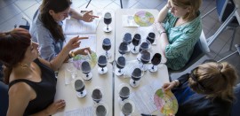 L’Università di Scienze Gastronomiche di Pollenzo consolida le sue radici e potenzia la didattica del vino