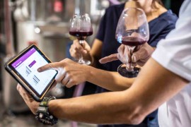VINO: la data della vendemmia si decide con il Polyscan di Vinventions