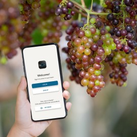 hOn E VIVINO insieme per la prima cantinetta virtuale 