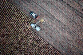 Agricoltura di precisione con droni