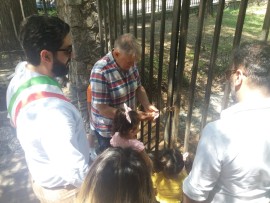 Morano Calabro (Cs) - Riaperta la Villa comunale