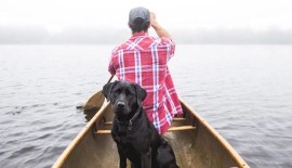Tempo di vacanze: 5 consigli per viaggiare con il proprio cane
