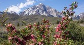 Disconnettersi per riconnettersi: un'esperienza digital detox a Mammoth Lakes