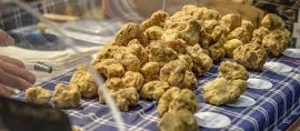 E' calato il sipario sulla 93a edizione della Fiera Internazionale del Tartufo Bianco d'Alba, novantamila i visitatori