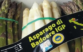 La Casatella Trevigiana DOP compie diciassette anni