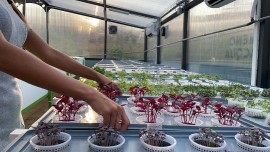 Agricooltur® celebra ogni giorno la Giornata Mondiale dell’Acqua
