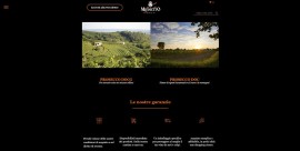 Valdobbiadene: Mionetto lancia il nuovo e-shop