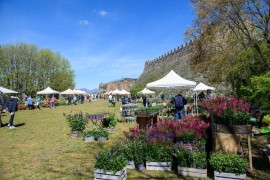 Lonato del Garda (BS) – Grande successo per la XVI edizione di FIORInellaROCCA