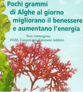 L'uso delle alghe nell'alimentazione