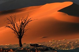 25 maggio Giornata dell’Africa