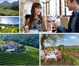 I migliori Wine Resort per soggiorni romantici e gourmet con vista sui filari